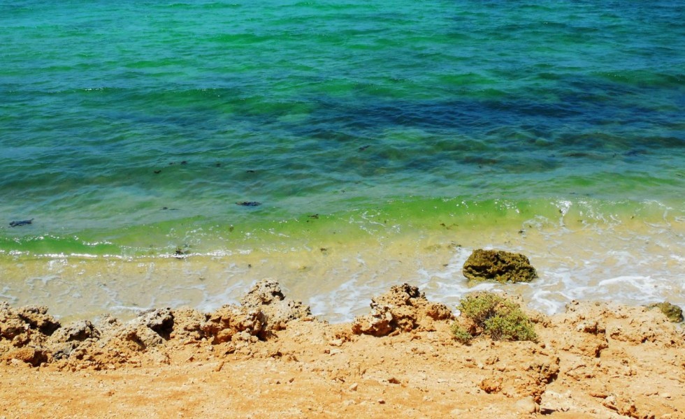 Djibouti
