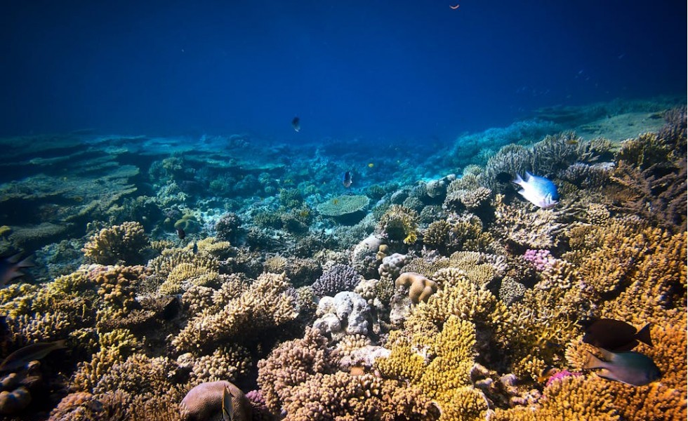 Red Sea Governorate, Egypt