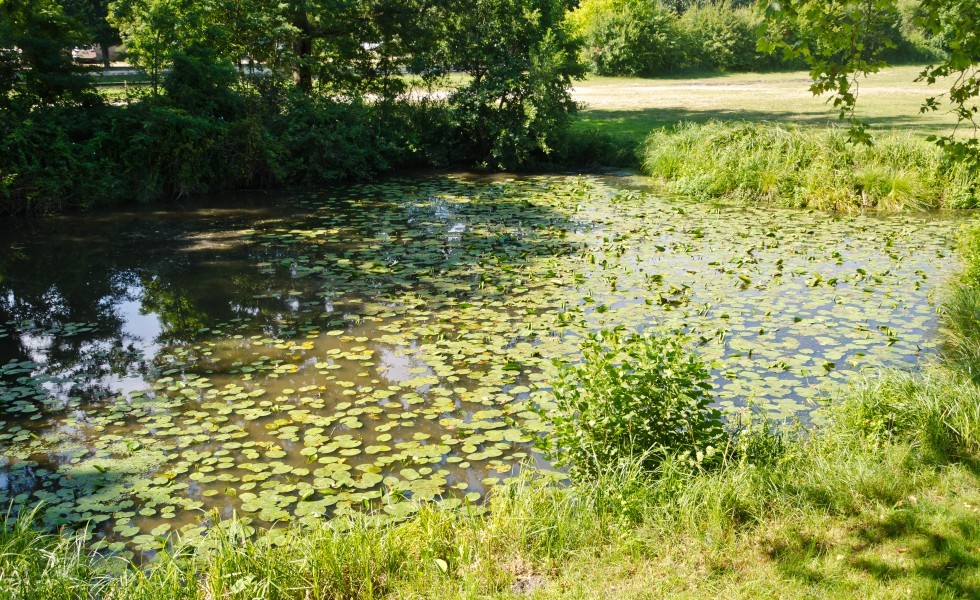 Pays de la Loire, France