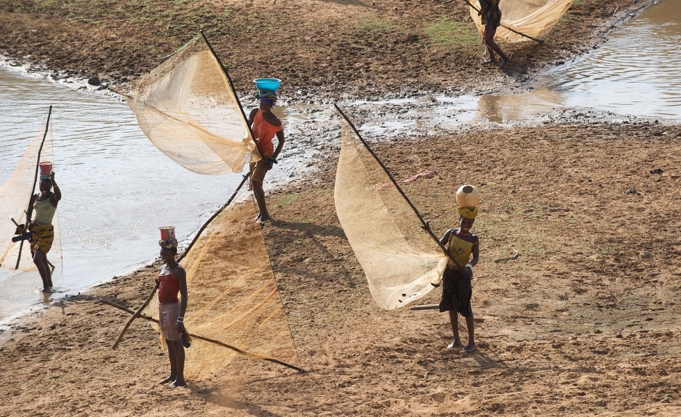 Guinea