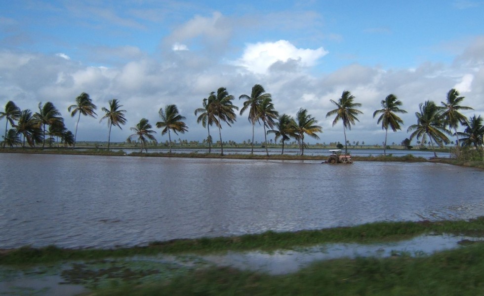 Guyana