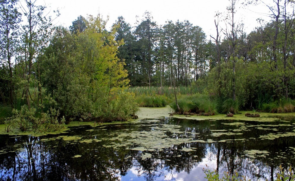 Volyn Oblast, Ukraine