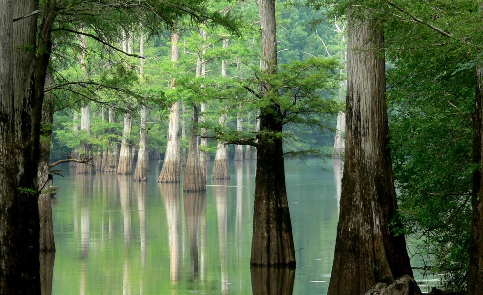 United States, Arkansas