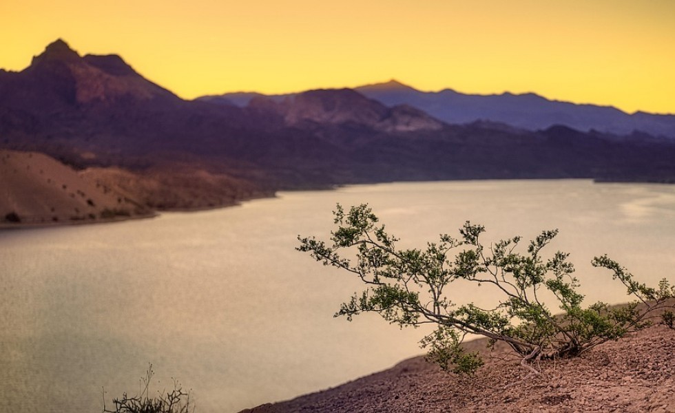 Nevada, United States